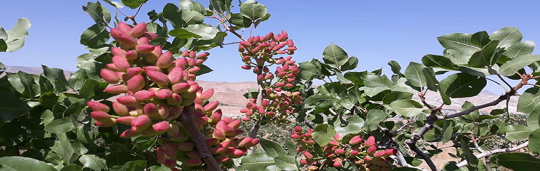 IMG-20190828-WA0012.png